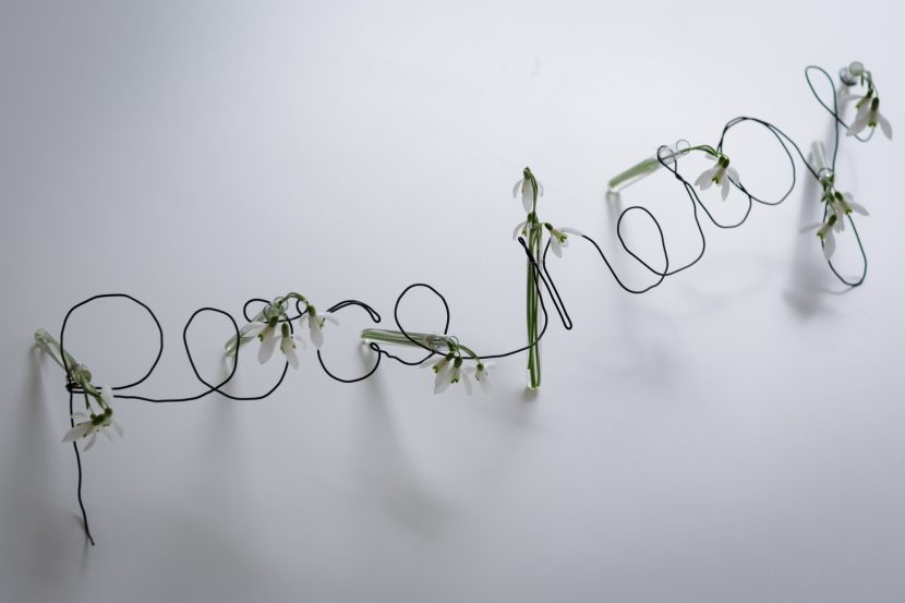Filaments-©-Bartosch-Salmanski-www.m4tik.fr-7.jpg
